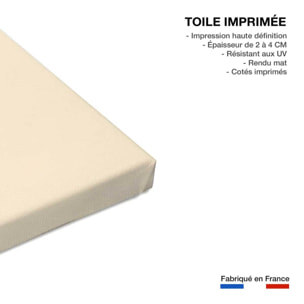 Tableau rainbow escargot Toile imprimée