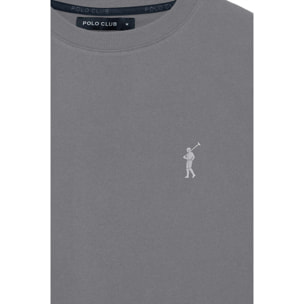 Camiseta gris asfalto de cuello redondo y Big Rigby Go engomado