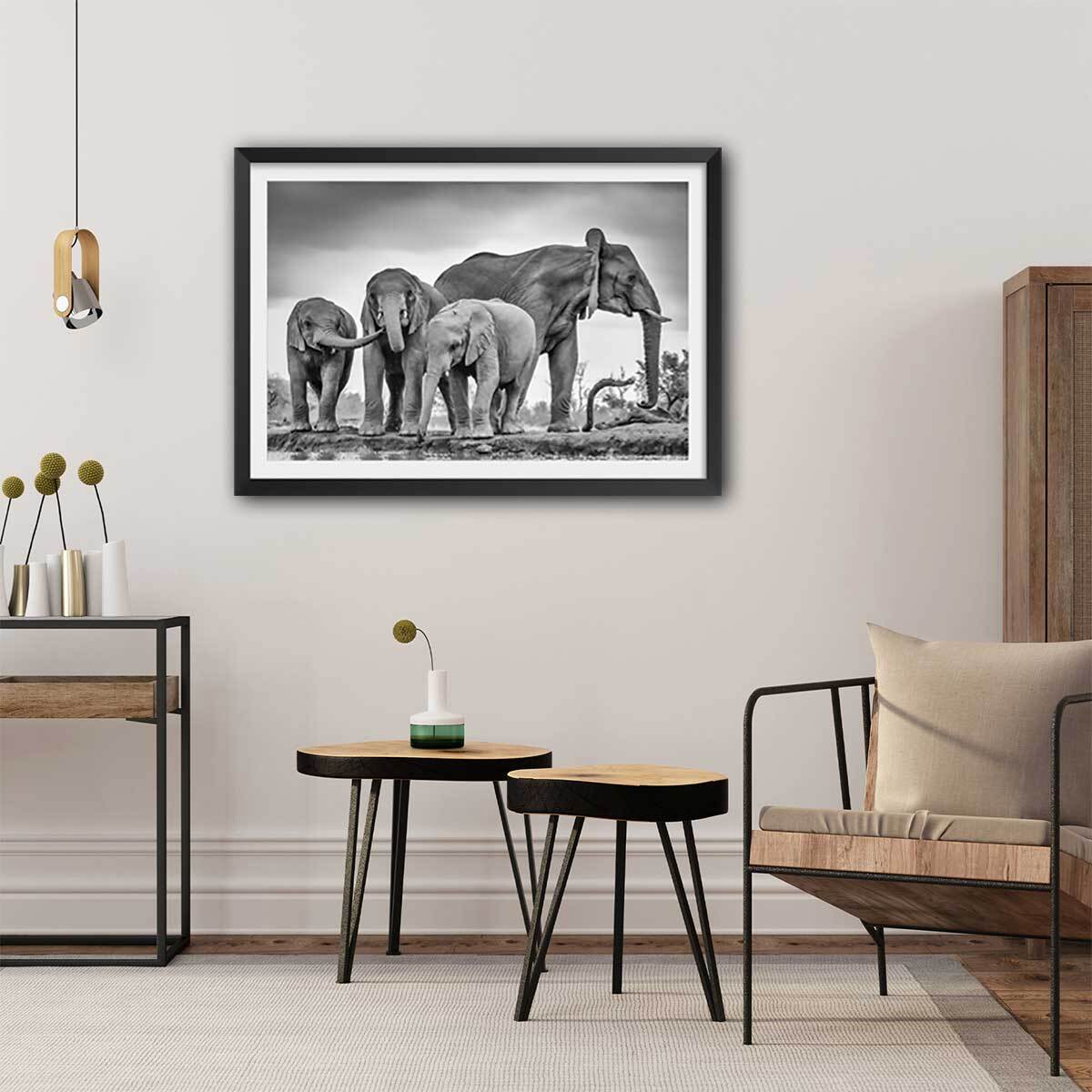 Affiche animaux bataille d'eau Affiche + cadre en bois - Noir