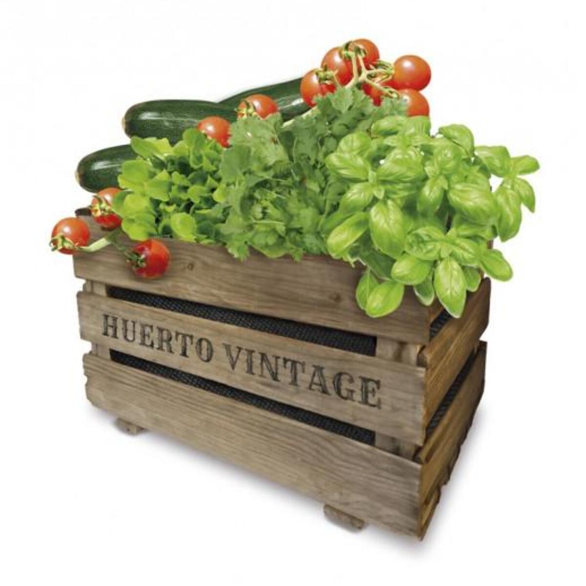 Kit Huerto Urbano Vintage Eco Cultiva en Casa Fácil Batlle