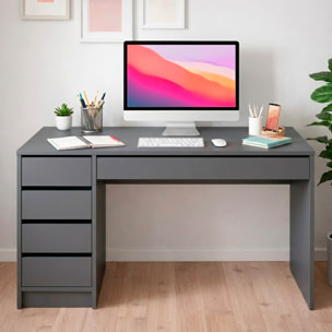 Scrivania moderna con 4 cassetti 1 cassettone centrale Scrittoio da Studio o Ufficio Mobile Desk 120 x 75 x 55 cm antracite
