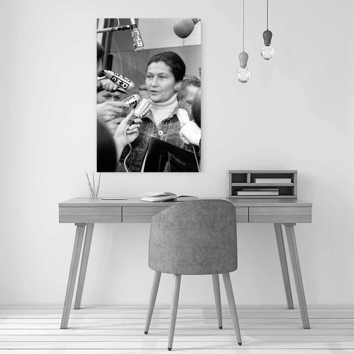 Tableau simone veil en 1976 Tableau plexiglas