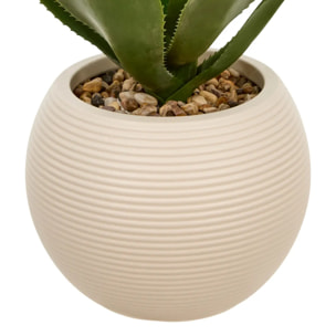 AGAVE POT PL BLC POSA H51