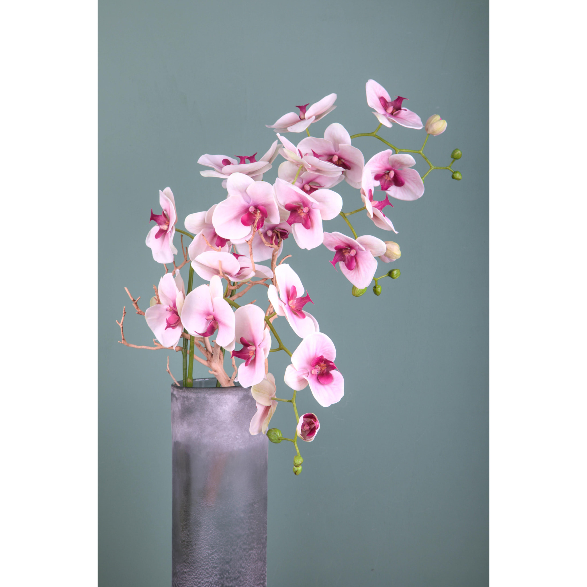 Phalaenopsis. Altezza 95 Cm - Pezzi 1 - 17X95X10cm - Colore: Bianco - Bianchi Dino - Fiori Artificiali