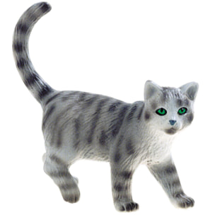 Animali di Casa/Gatto Certosino