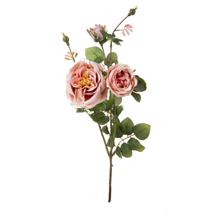 Rosa romantica - Pezzi 2 - Colore:Rosa - Bianchi Dino