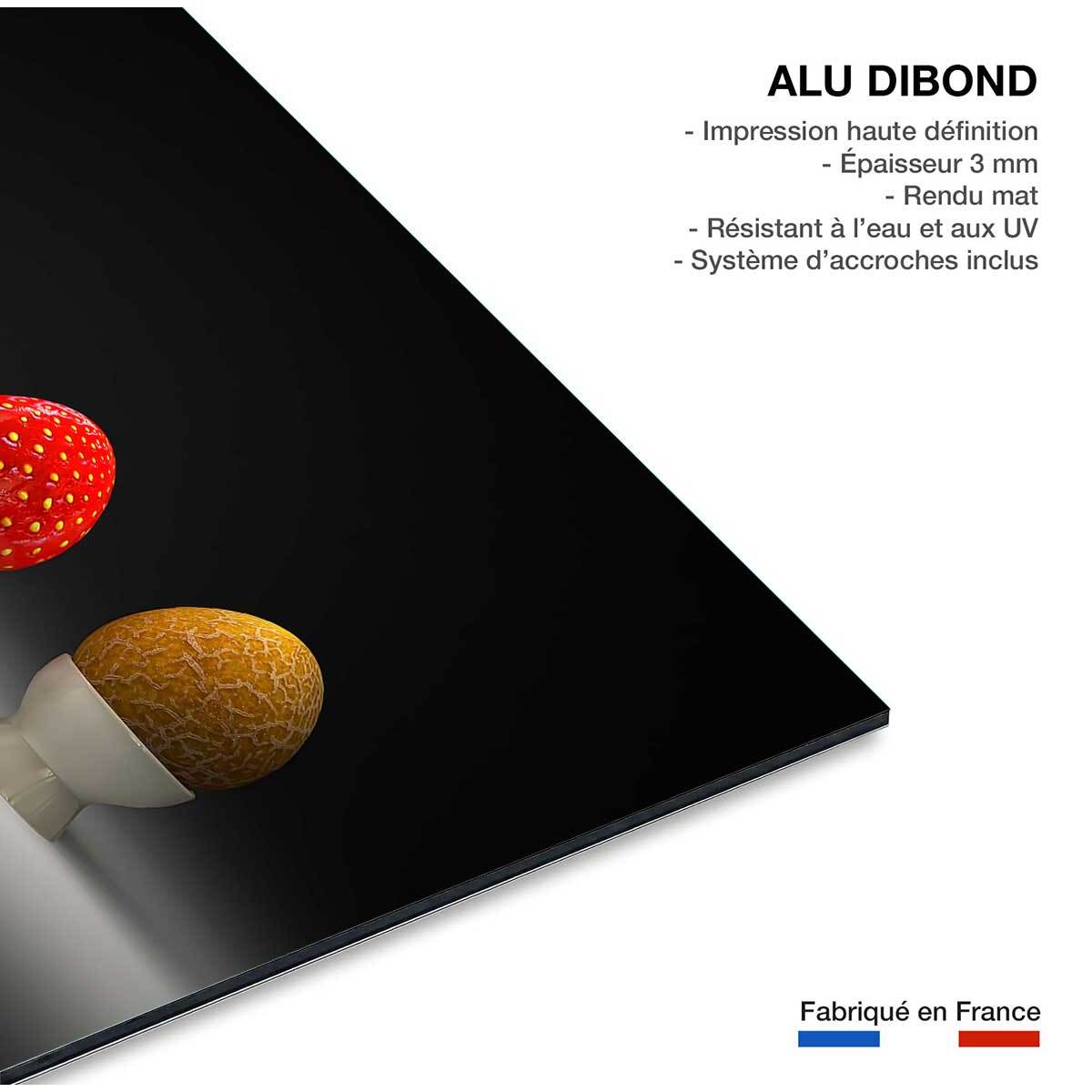 Tableau les quatre fruits Tableau alu Dibond
