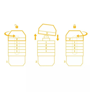 Vivo - Eau de Parfum