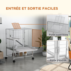 Cage pour rongeurs furet chinchilla plateforme rampe 2 portes biberon gamelle plateau étagère acier gris clair