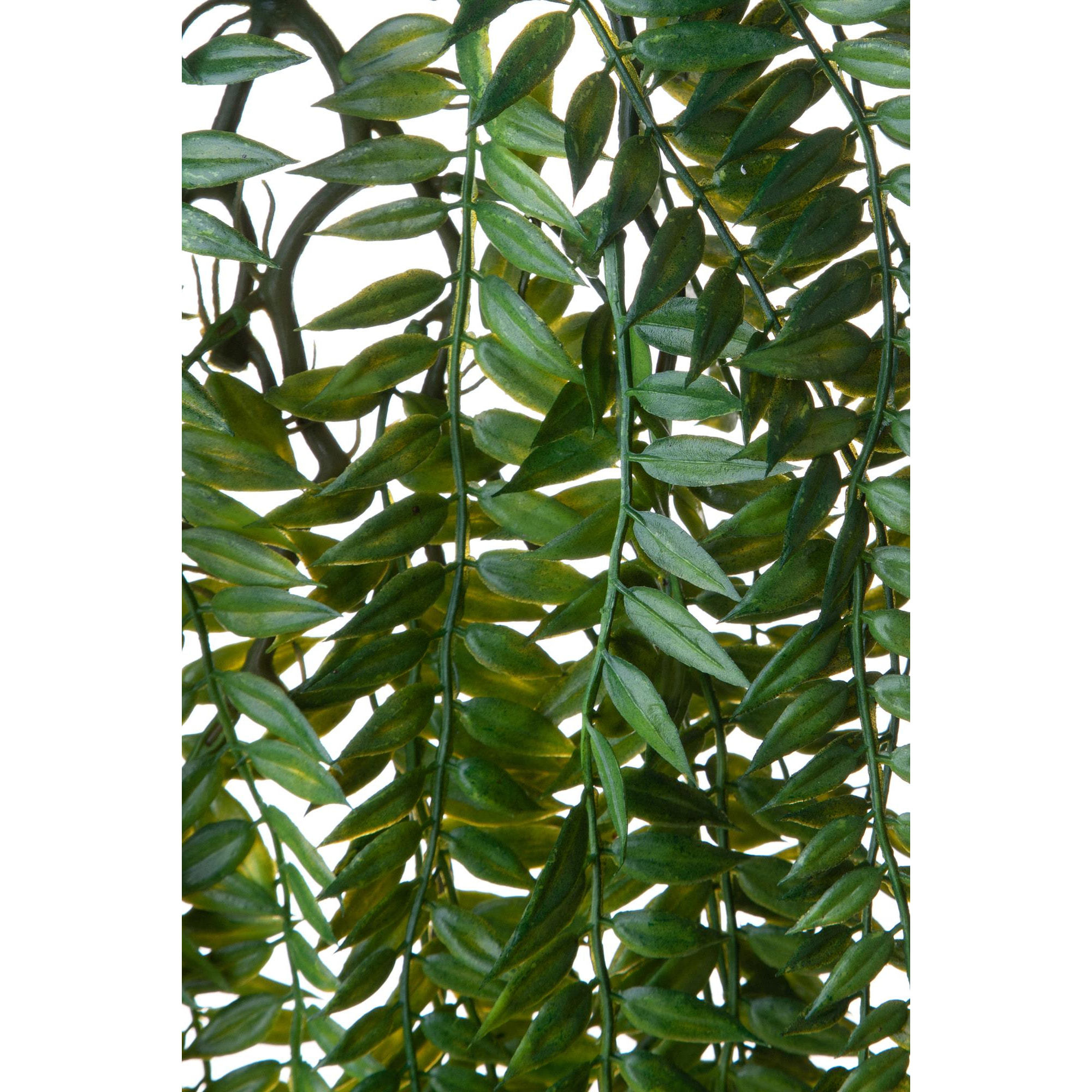 Cadente Di Guia 82 Cm - Pezzi 6 - 20X82X20cm - Colore: Verde - Bianchi Dino - Piante Artificiali