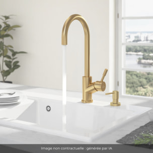 Robinet cuisine Umbrella + Distributeur de savon Or mat