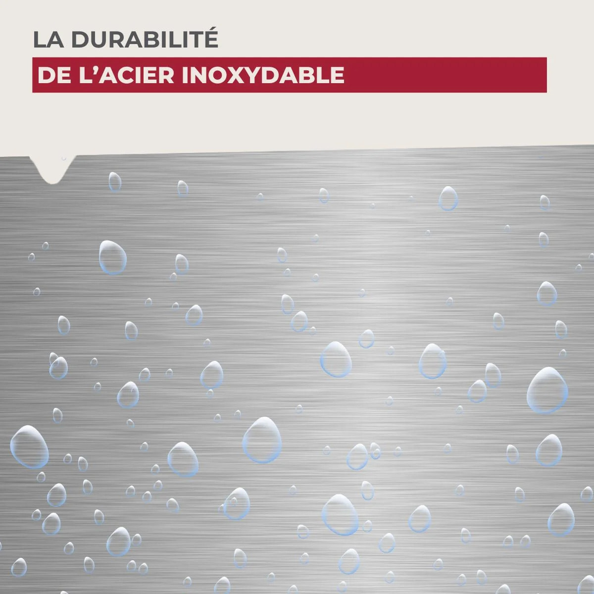 Set de 6 couteaux de cuisine 24 cm en inox Nirosta Star