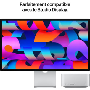 Ordinateur Apple MAC Studio M3 Ultra CPU 28 GPU 60 96Go 1To