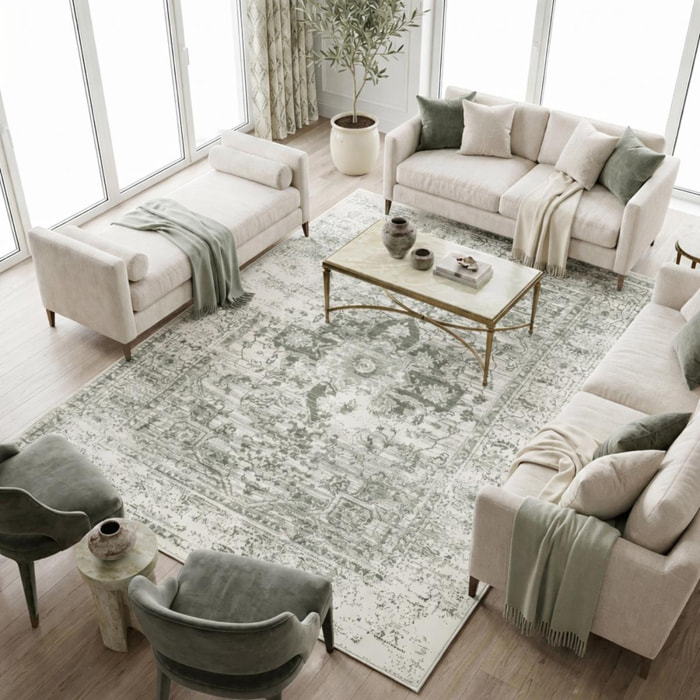 Tapis salon motif oriental vintage, ornements délicats, FARO