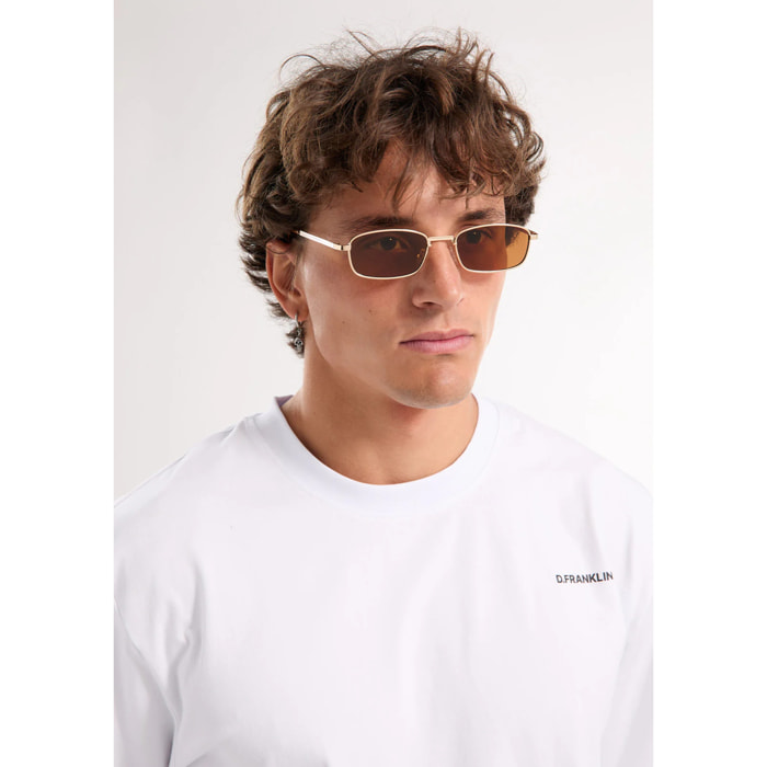 Gafas De Sol D. Franklin Square Legacy