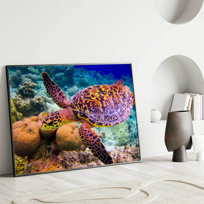 Affiche encadrée tortue marine sous l’eau Affiche + cadre en métal - Noir