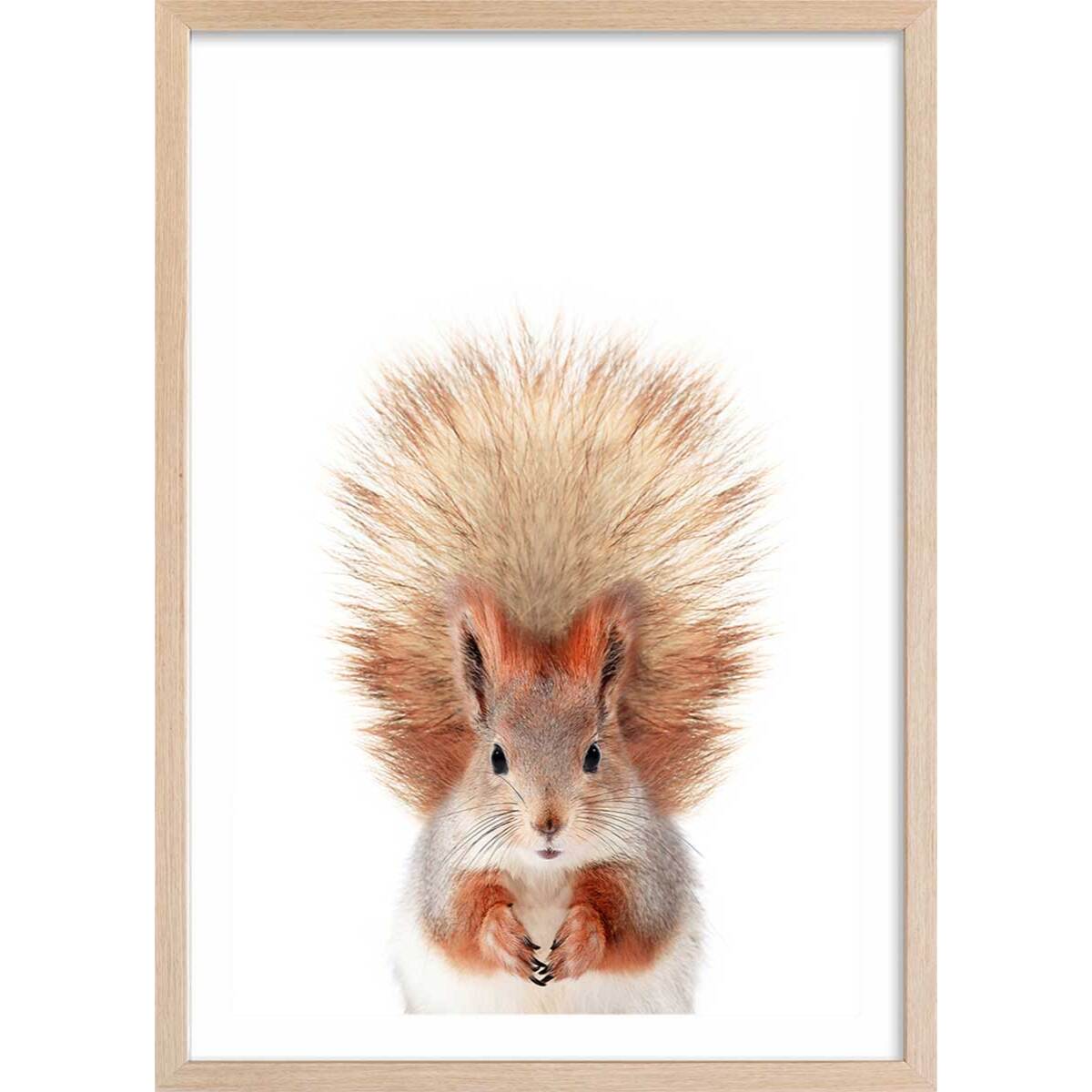 Affiche enfant bébé ecureuil  Affiche + cadre en bois - Chêne