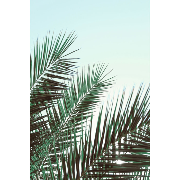 Tableau palme verte Tableau plexiglas