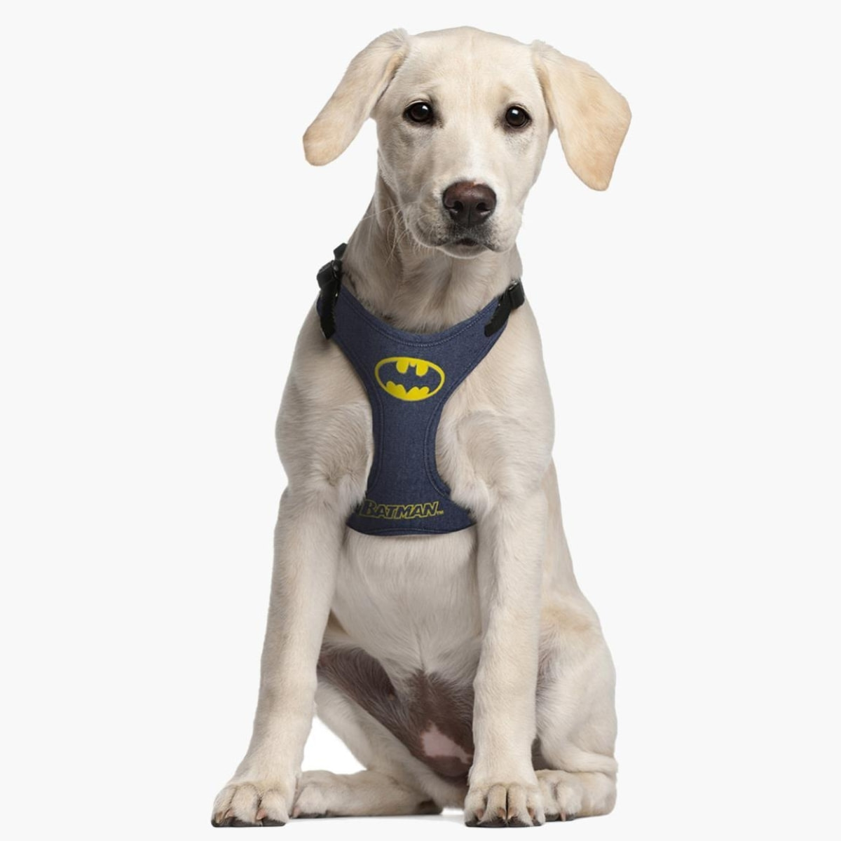 DC Comics Batman Pettorina per Cane Taglia XS-S For Fun Pets Cerdà