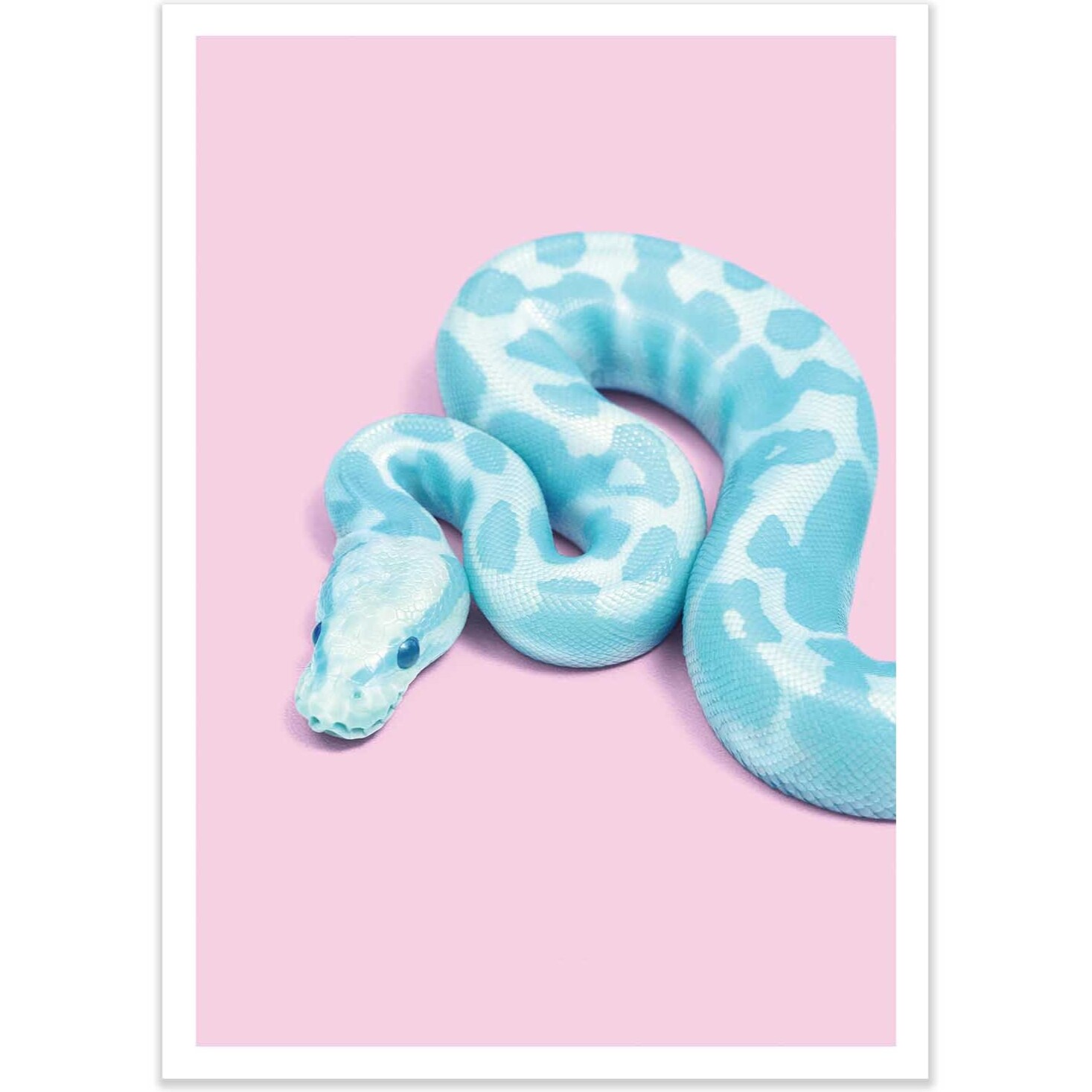Affiche - Blue Snake - Paul Fuentes