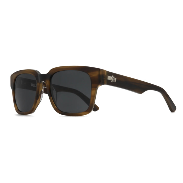 Gafas de Sol Uller Hookipa Brown Tortoise / Black