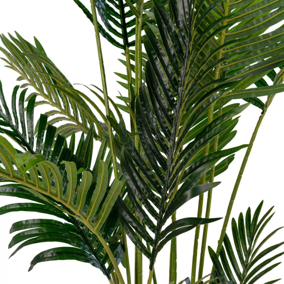 Areca Palm - Plante artificielle H175 cm : Couleur - Vert.