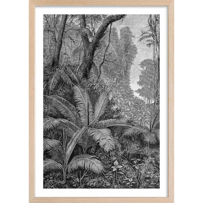 Affiche paysage jungle indienne Affiche sous cadre bois