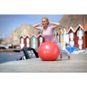 Ballon de yoga SISSEL Ball 65cm