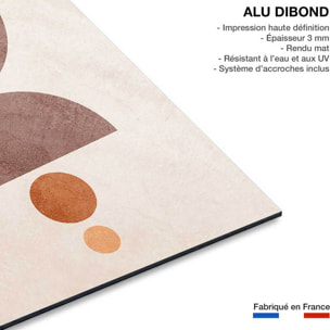 Tableau organique lévitation  Tableau alu Dibond