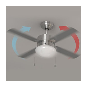 Cecotec Ventilateur de plafond avec Lampe EnergySilence Aero 450. 50 W, Diamètre