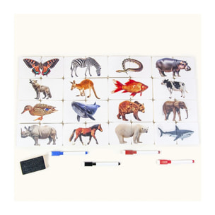 HALF PIC ANIMALS