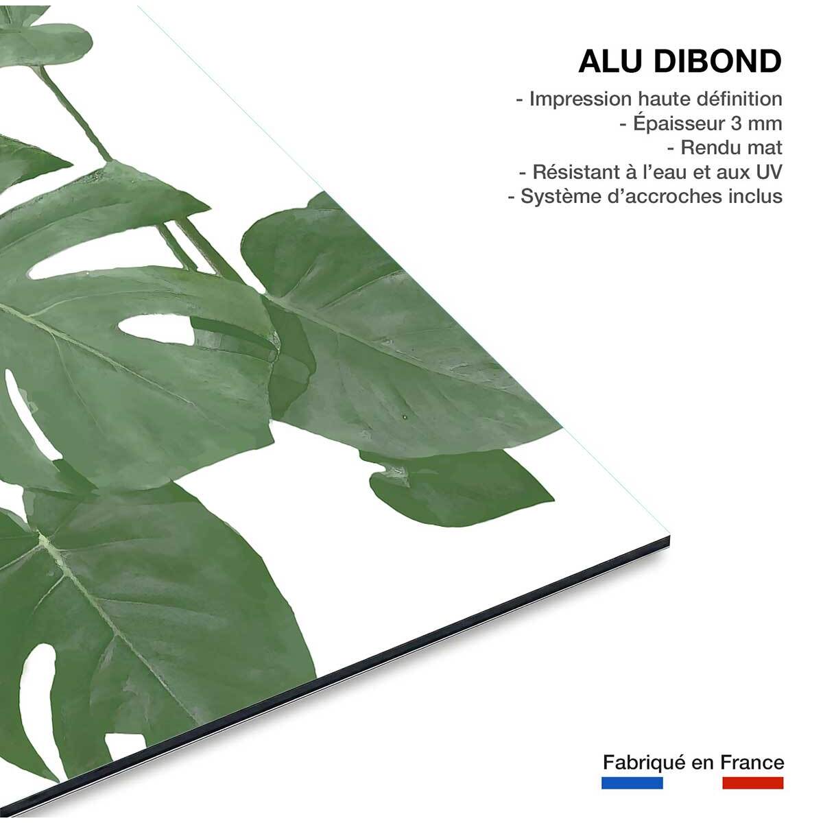 Tableau Feuilles de Monstera Tableau alu Dibond