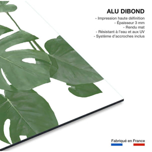 Tableau Feuilles de Monstera Tableau alu Dibond