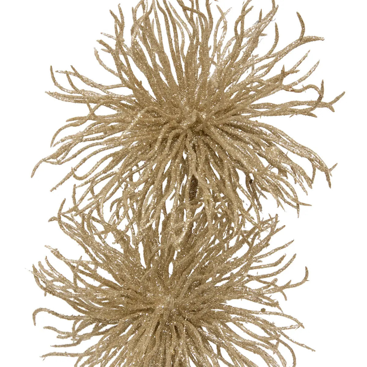 Branche 2 Oursins Paill Or  60 cm