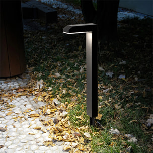 4 Potelet solaire à piquer TORLY H49CM