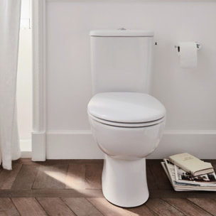 WC à poser sans bride Gaspard + gel WC Economie d'eau