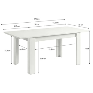 Mesa de comedor extensible en blanco artik 123-173x75 cm Sira Blanco Artik (Blanco Mate)