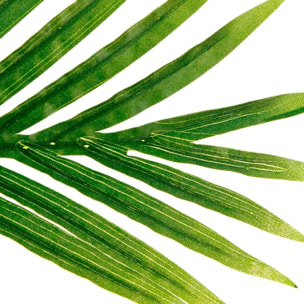 Palmera artificial en maceta H170