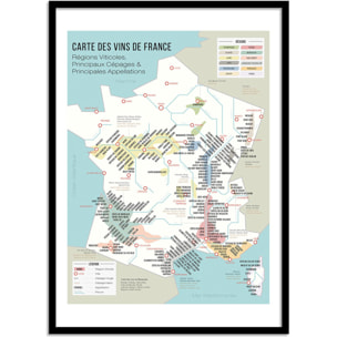 Affiche - Carte des vins de France - Frog Posters