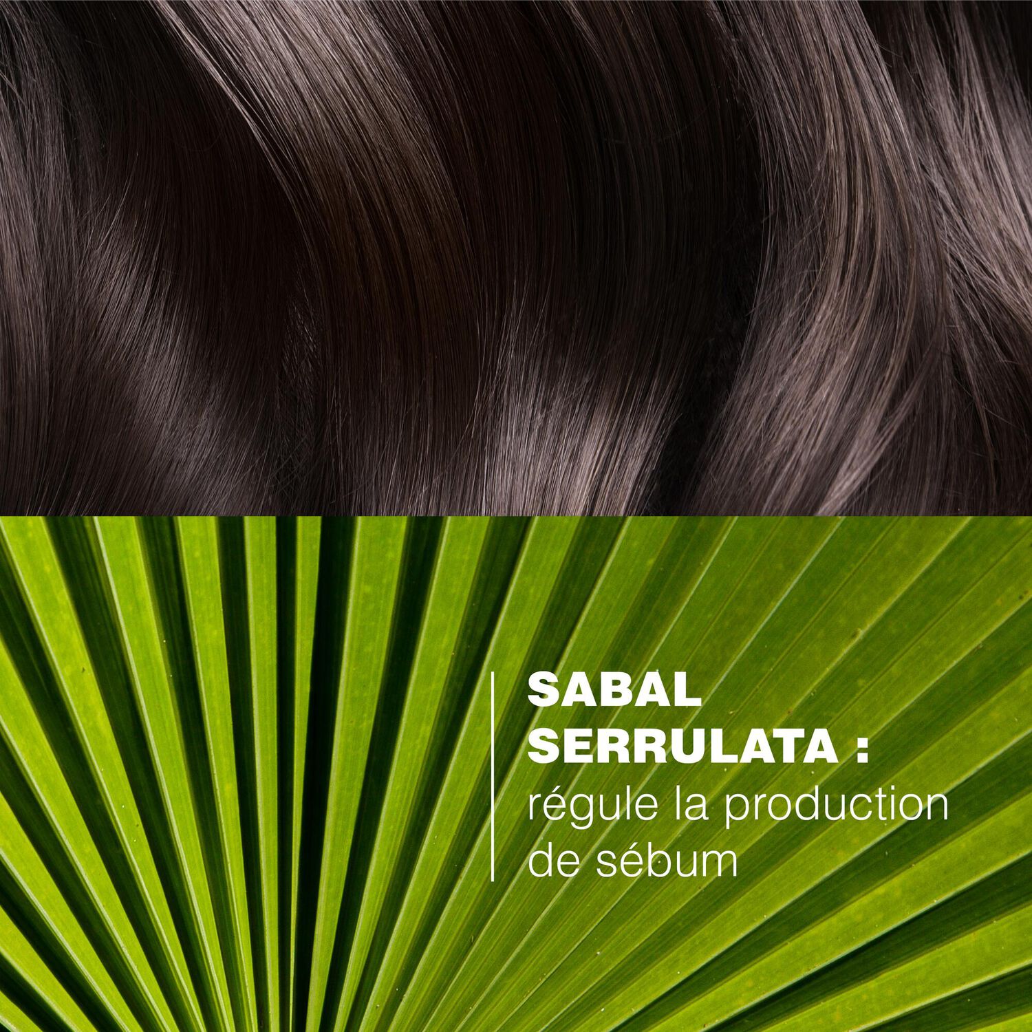 Sabal - Shampooing traitant sébo-régulateur 200 ml