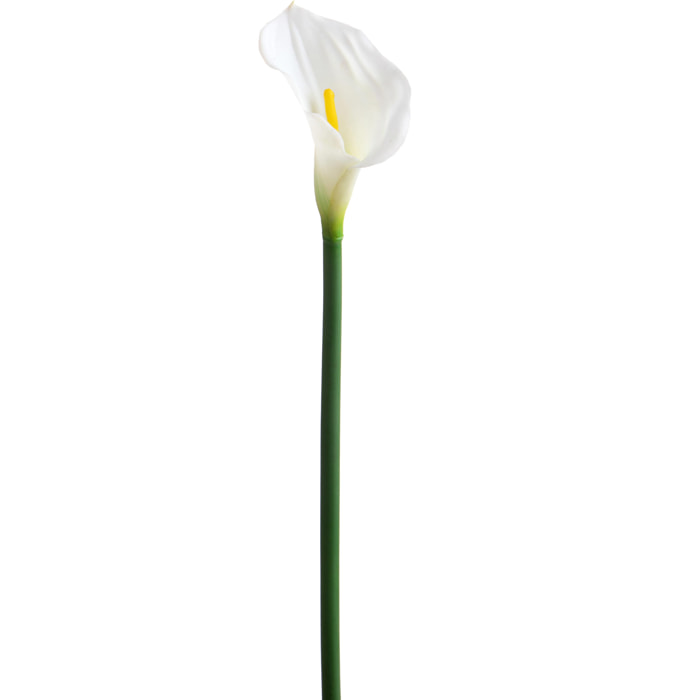 Fiore Di Calla Singola. Altezza 74 Cm - Pezzi 6 - 12X74X12cm - Colore: Bianco - Bianchi Dino - Fiori Artificiali