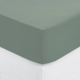Drap-housse en coton - vert céladon - bonnet H30cm - 160x200 cm