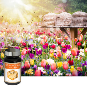 NUTRI EXPERT - Gelée Royale Pollen - Complément alimentaire - Soutien des défenses naturelles - Tonus & Vitalité - Aide à réduire la Fatigue - 60 Gélules