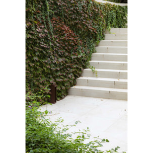 CERLER 350 Balise rouille