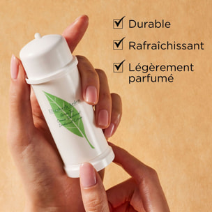 Green Tea - Déodorant Crème