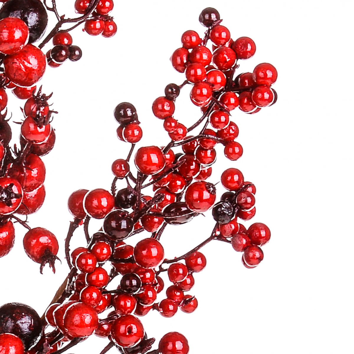 Tralcio - Pezzi 6 - 18xH76x9cm - Bianchi Dino SpA