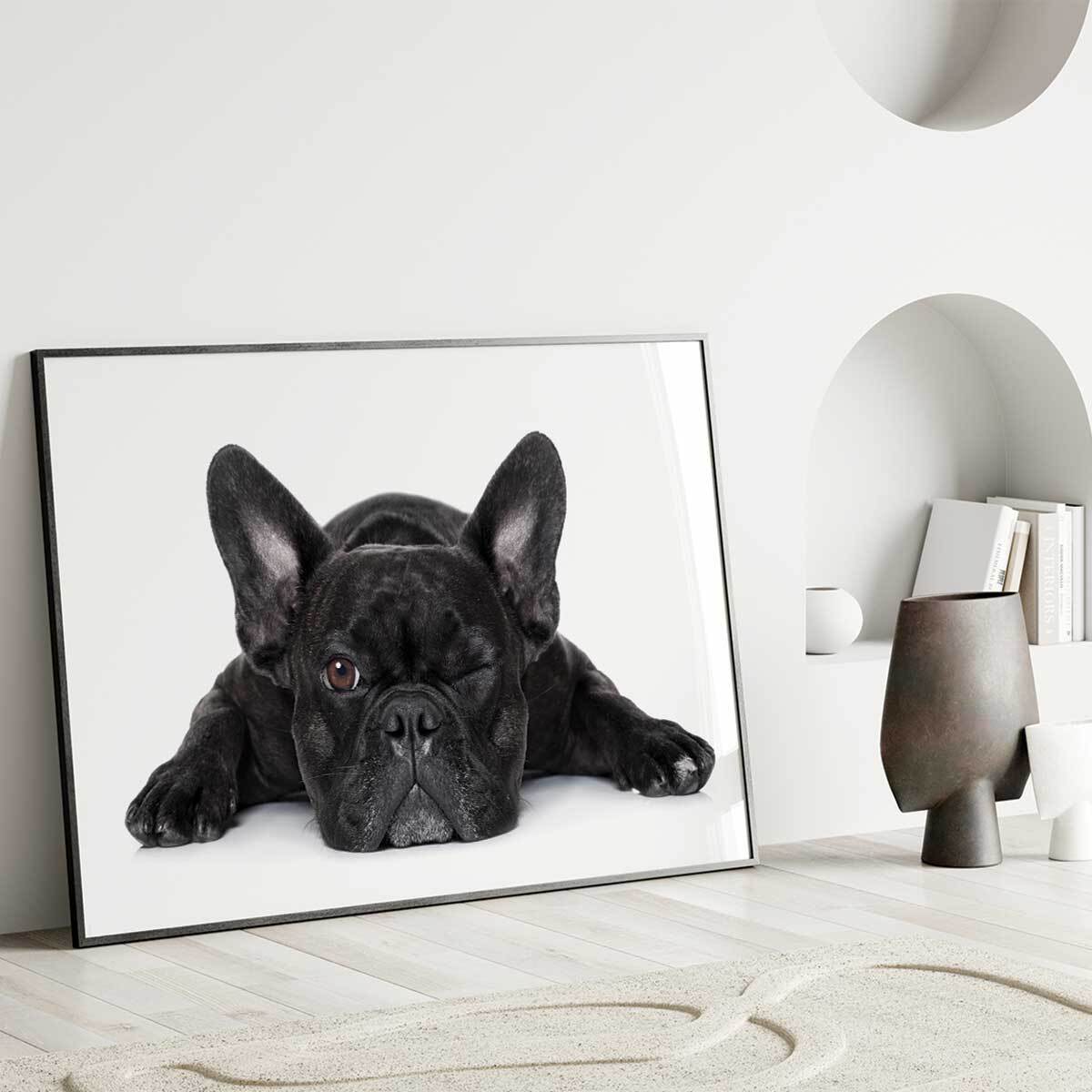 Affiche encadrée bouledogue français noir Affiche + cadre en métal - Noir