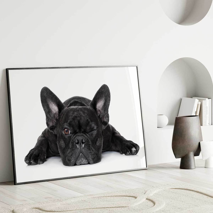 Affiche encadrée bouledogue français noir Affiche + cadre en métal - Noir
