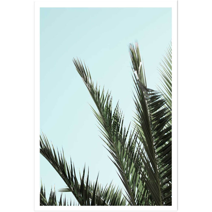 Poster palme bleue Affiche seule