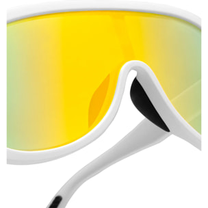 Gafas de Sol Ajax D.Franklin